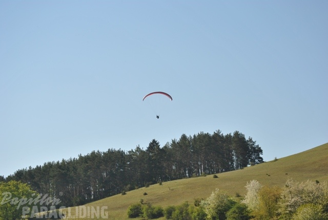 2011_RFB_SPIELBERG_Paragliding_125.jpg
