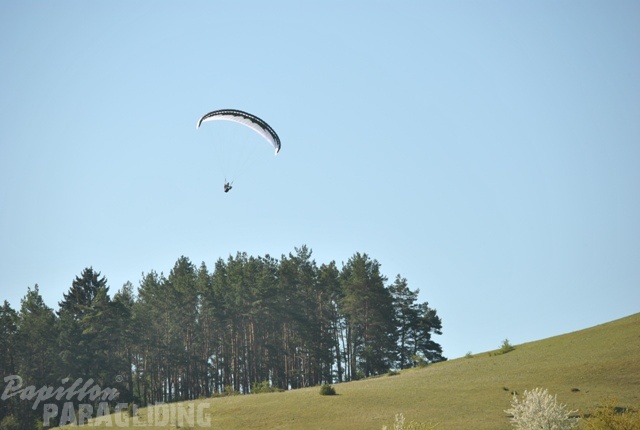 2011 RFB SPIELBERG Paragliding 140