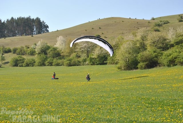 2011_RFB_SPIELBERG_Paragliding_146.jpg