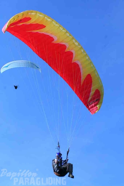 2011 RSS Schaeffler Paragliding Wasserkuppe 110