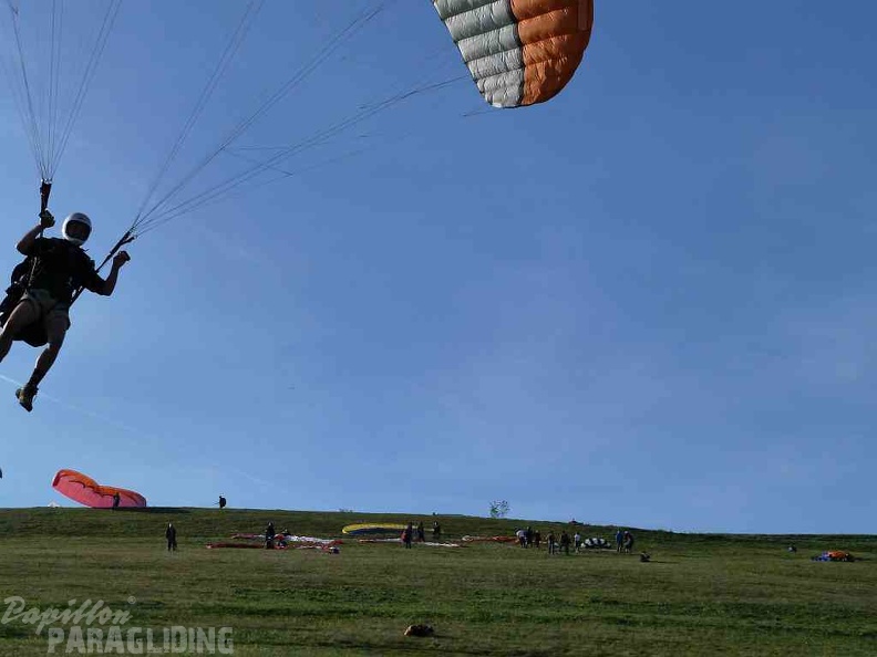 2011 RSS Schaeffler Paragliding Wasserkuppe 159