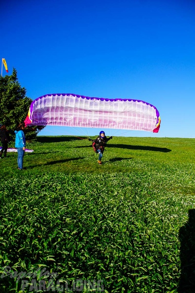 RK21.17 Paragliding-472