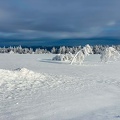wasserkuppe-winter-2022-113