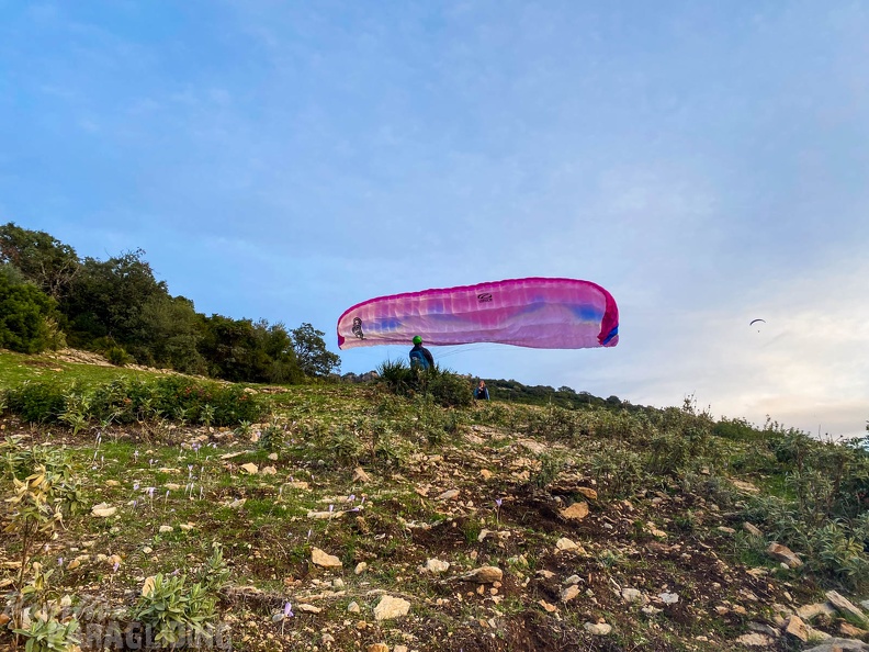 fa44.45.23-algodonales-paragliding-papillon-141.jpg