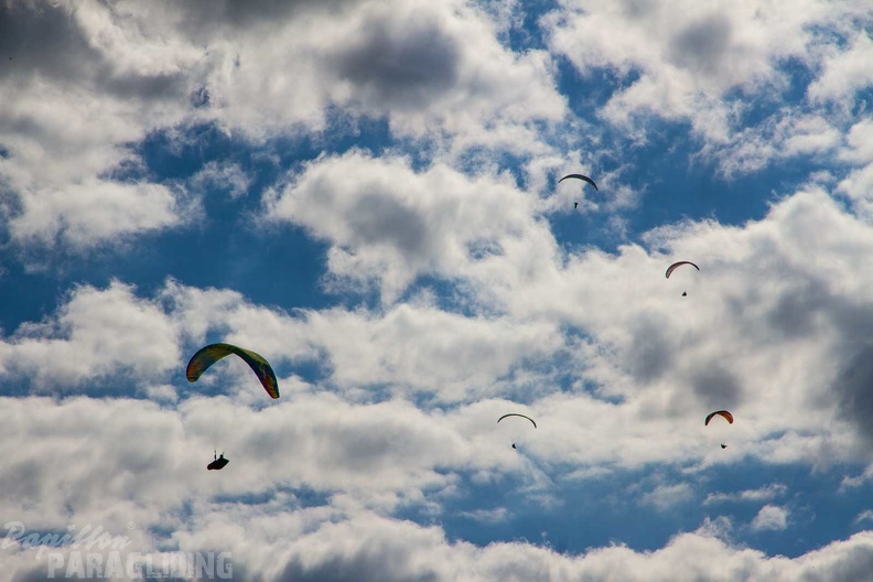 abtsrodaer-kuppe-paragliding-2024-05-09-100