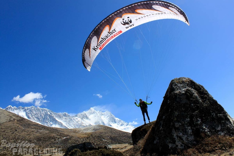 Papillon_Himalaya_Everest_AF-1181.jpg