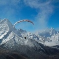 Papillon Himalaya Everest AS-1118