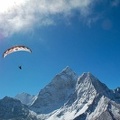 Papillon Himalaya Everest AS-1154