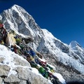 Papillon Himalaya Everest JS-419