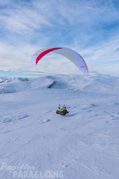 DISCOVERY Papillon-Paragliders EN-B-116