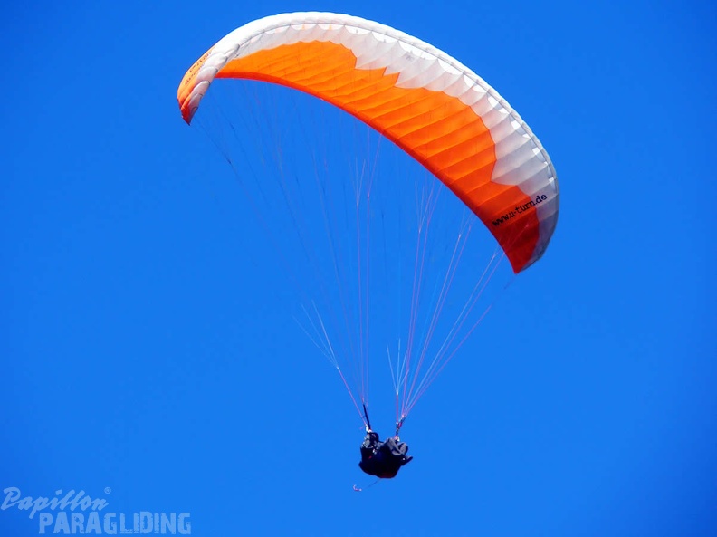 2005_D5.05_Paragliding_160.jpg