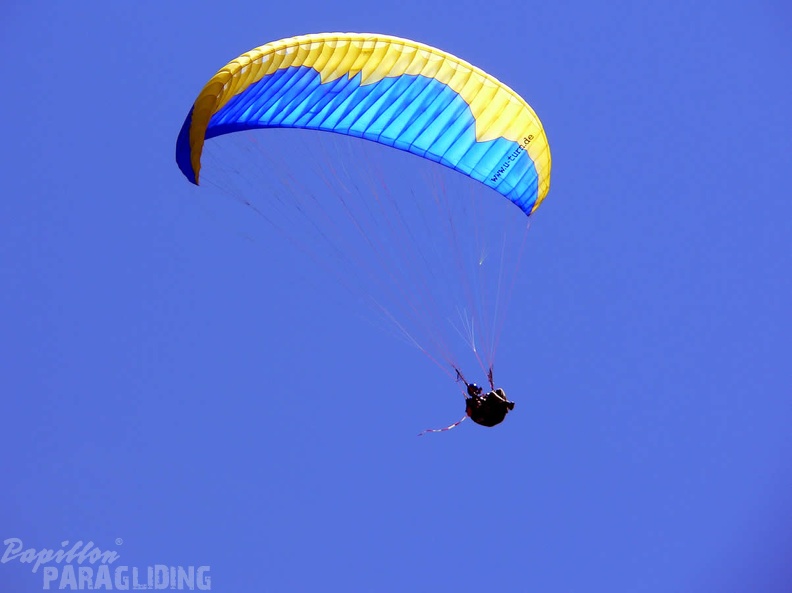 2005 D5.05 Paragliding 161