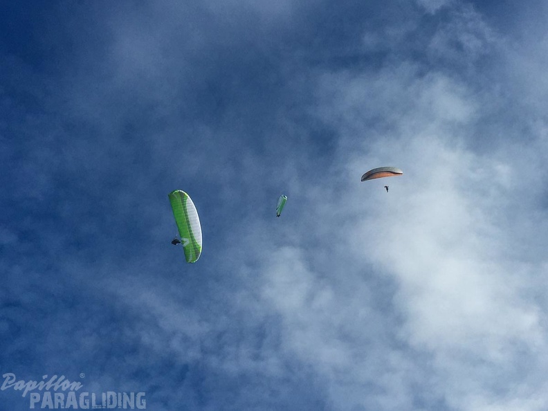 Luesen DT34.15 Paragliding-1414