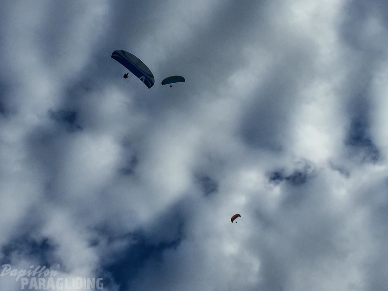 Luesen DT34.15 Paragliding-1465