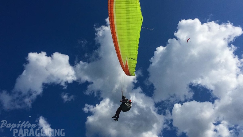 Luesen DT34.15 Paragliding-1687