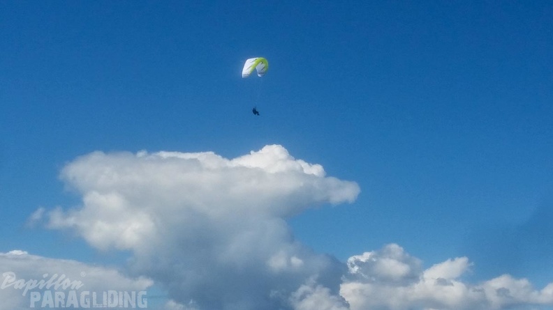Luesen DT34.15 Paragliding-1834