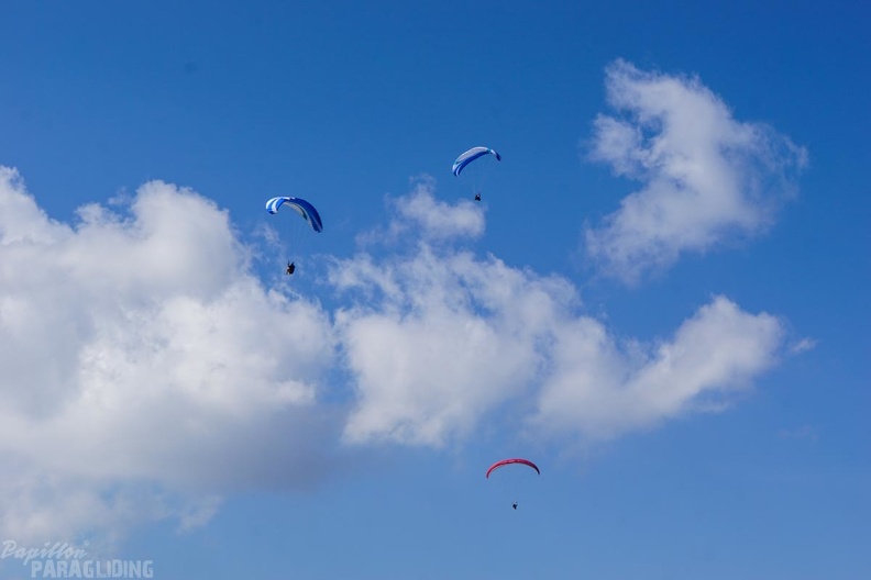 DH19.16-Luesen-Paragliding-250