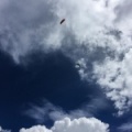 DT24.16-Paragliding-Luesen-1085