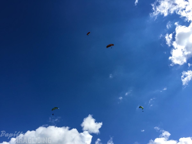 DT24.16-Paragliding-Luesen-1347