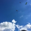 DT24.16-Paragliding-Luesen-1351
