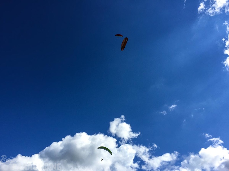 DT24.16-Paragliding-Luesen-1355