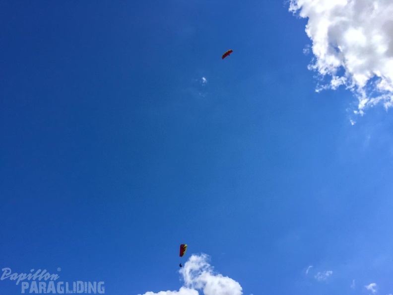 DT24.16-Paragliding-Luesen-1366