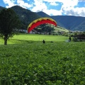 DT24.16-Paragliding-Luesen-1371