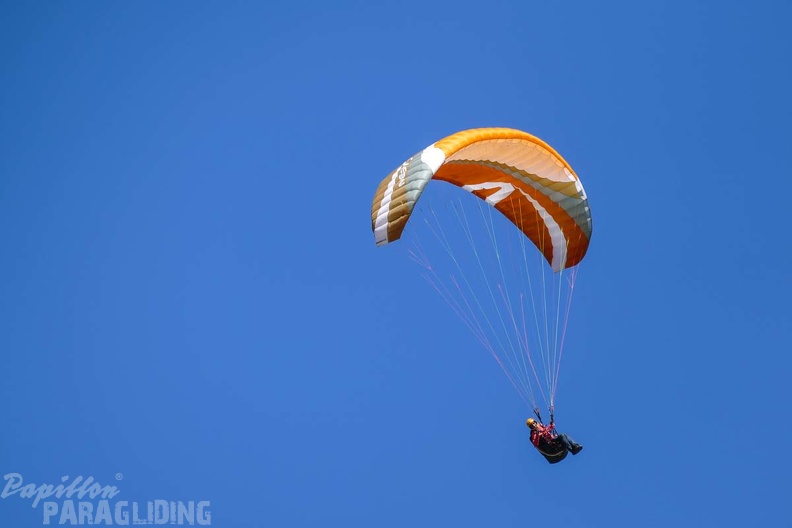 DH13.17_Luesen-Paragliding-391.jpg