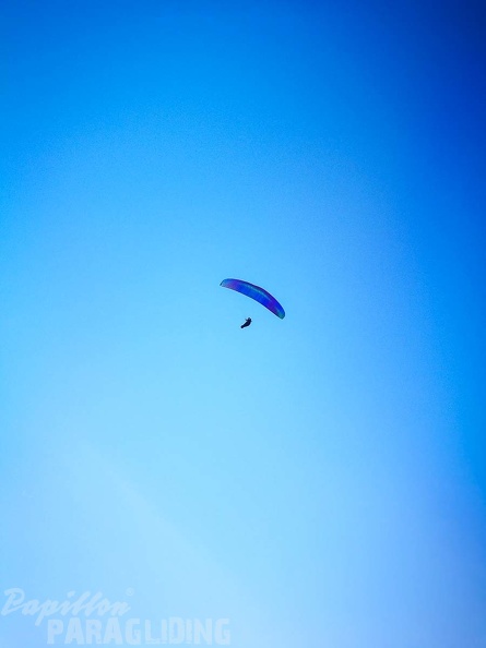 DH47.17-Luesen_Paragliding-175.jpg
