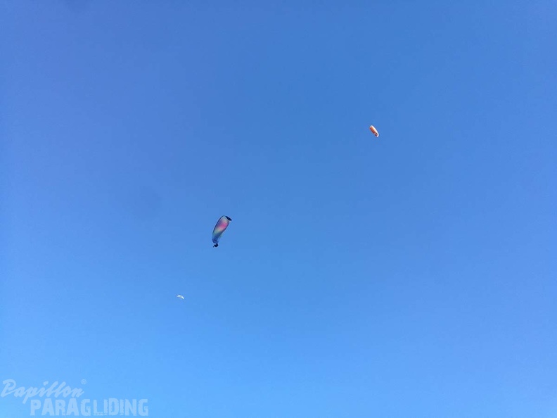 DH50.18 Luesen-Paragliding-233