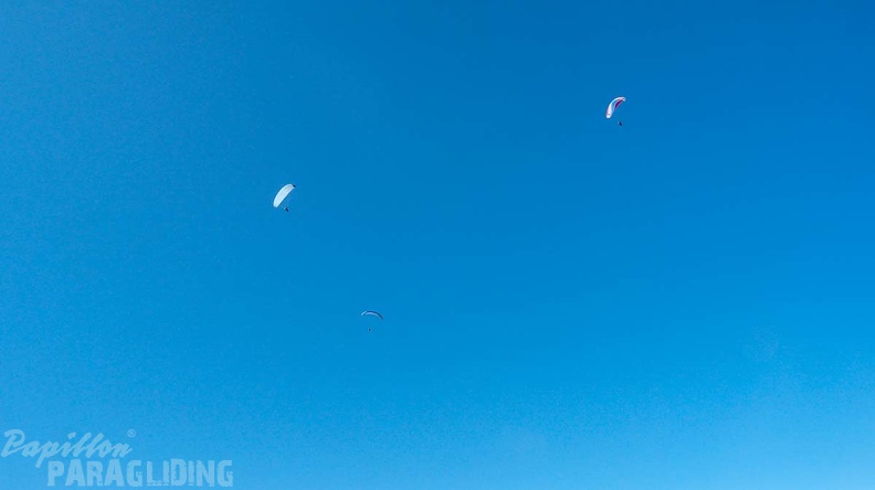 DH13.19_Luesen-Paragliding-331.jpg