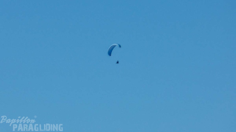DH13.19 Luesen-Paragliding-342