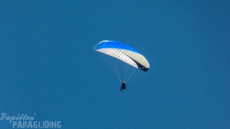 DH13.19_Luesen-Paragliding-343.jpg