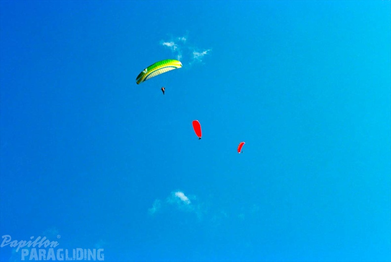 Luesen Paragliding NG-1011
