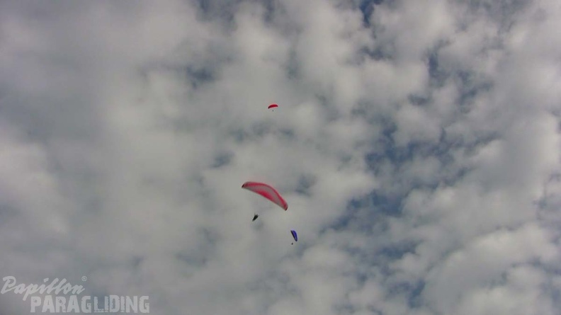 Luesen Paragliding NG-1093