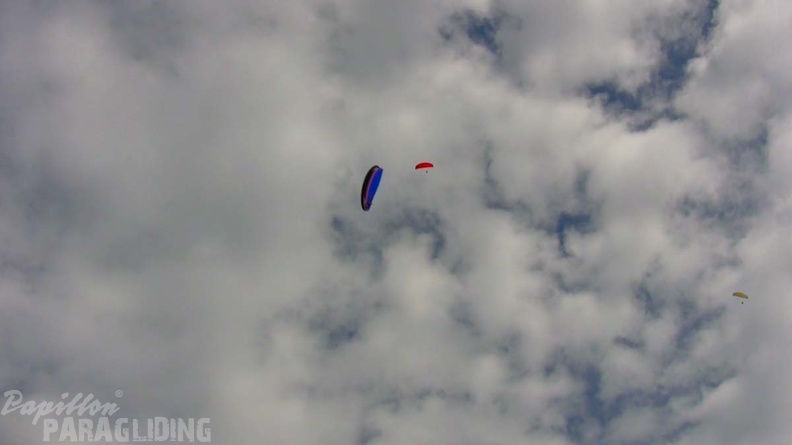 Luesen Paragliding NG-1100