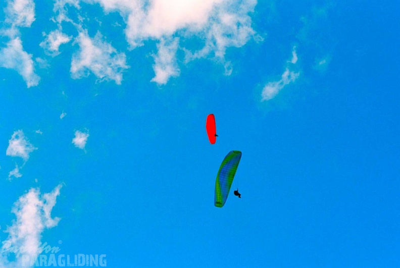 luesen paragliding ng-115