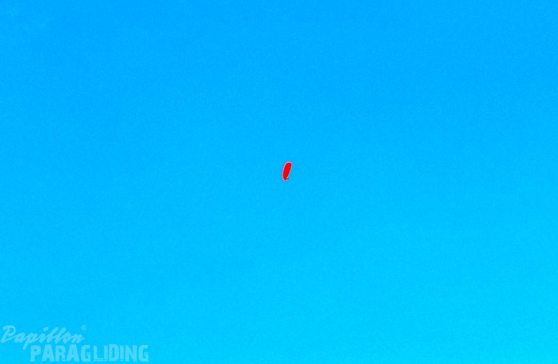luesen paragliding ng-118