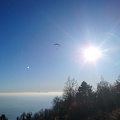 DH52.19 Luesen-Paragliding-Winter-316