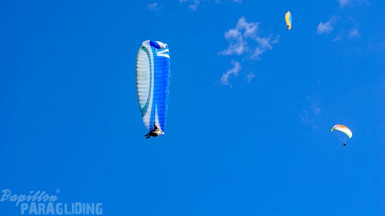 Luesen D34.20 Paragliding-286