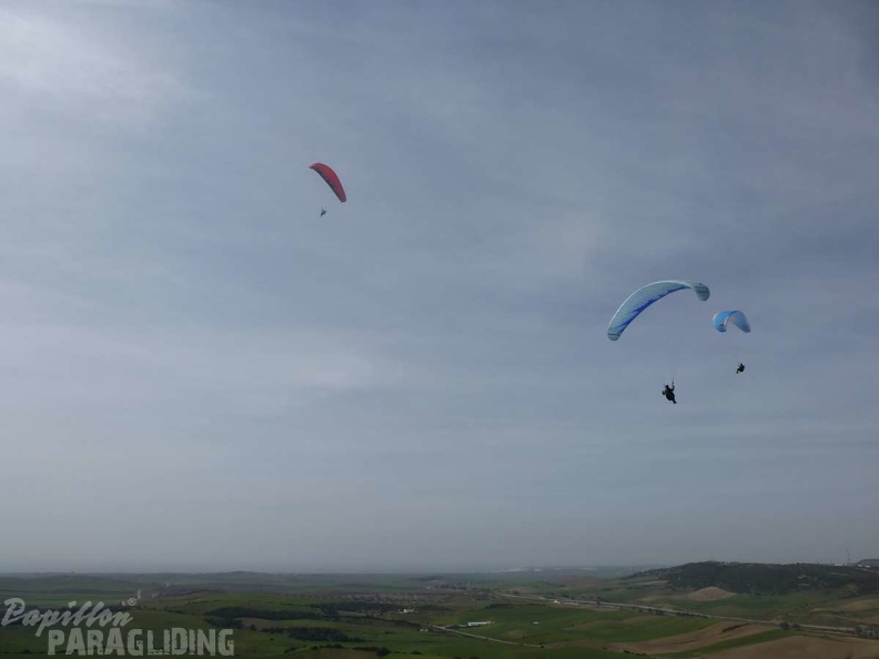 FA12 14 Algodonales Paragliding 298