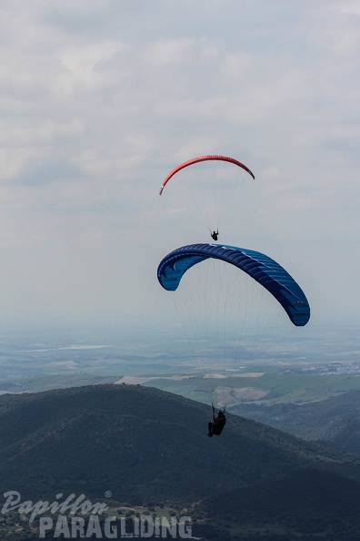 FA16.15_Algodonales_Paragliding-199.jpg