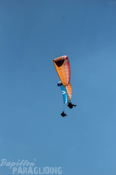 FA16.15_Algodonales_Paragliding-227.jpg