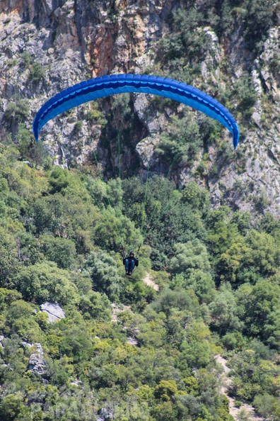FA16.15 Algodonales Paragliding-239