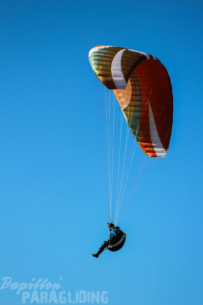 FA16.15_Algodonales_Paragliding-263.jpg