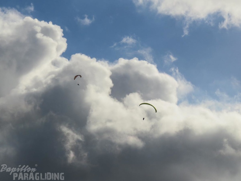 FA53.15-Algodonales-Paragliding-401