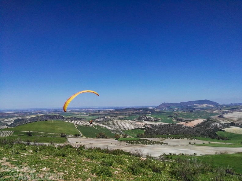 FA14.16-Algodonales-Paragliding-139