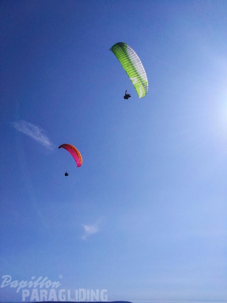 FA14.16-Algodonales-Paragliding-289