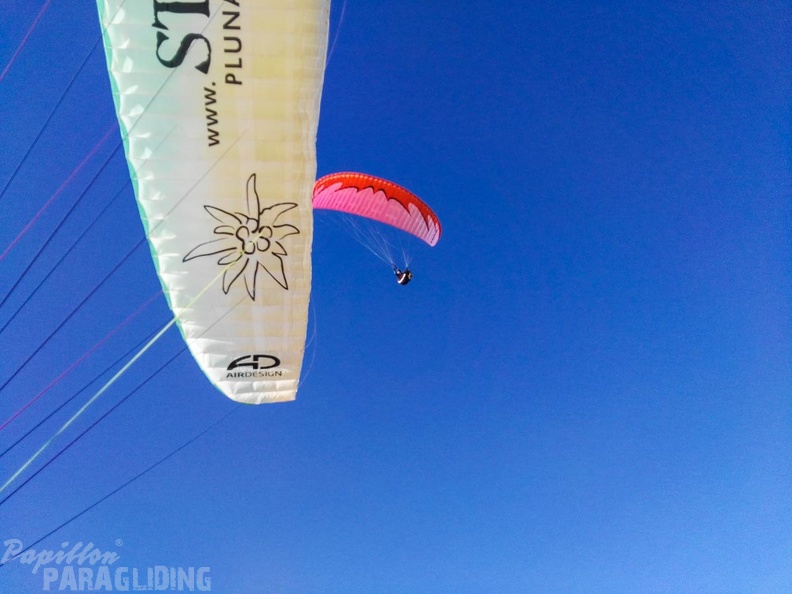 FA15.16-Algodonales Paragliding-292
