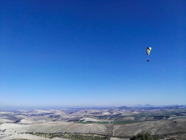 FA101.17_Algodonales-Paragliding-113.jpg